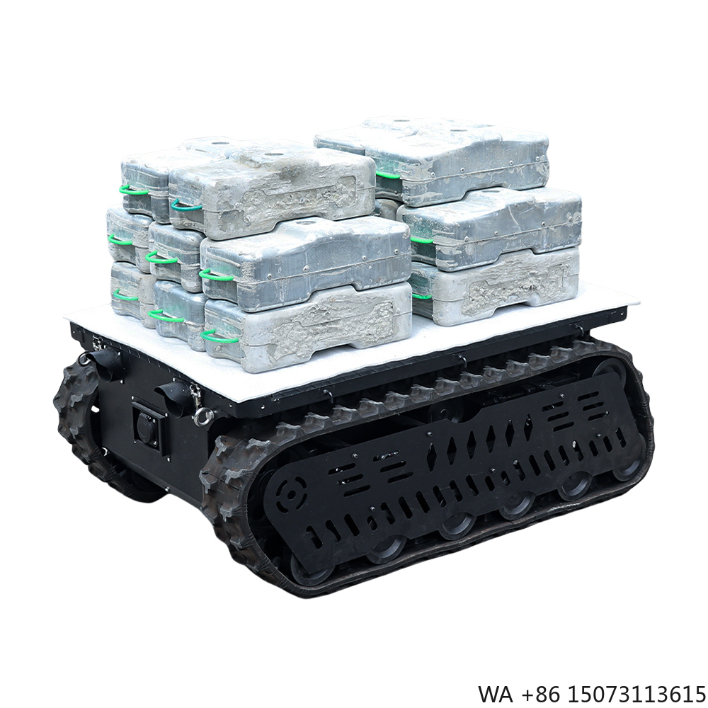 300 600kg Load RC Tank Crawler - огляд і ціна Brushless Motor